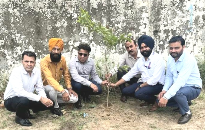 Saplings were planted by "SBI Bank" in Government Senior Secondary School Birampur